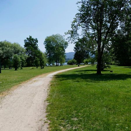 Refugio Del Lago Seekirchen am Wallersee Dış mekan fotoğraf