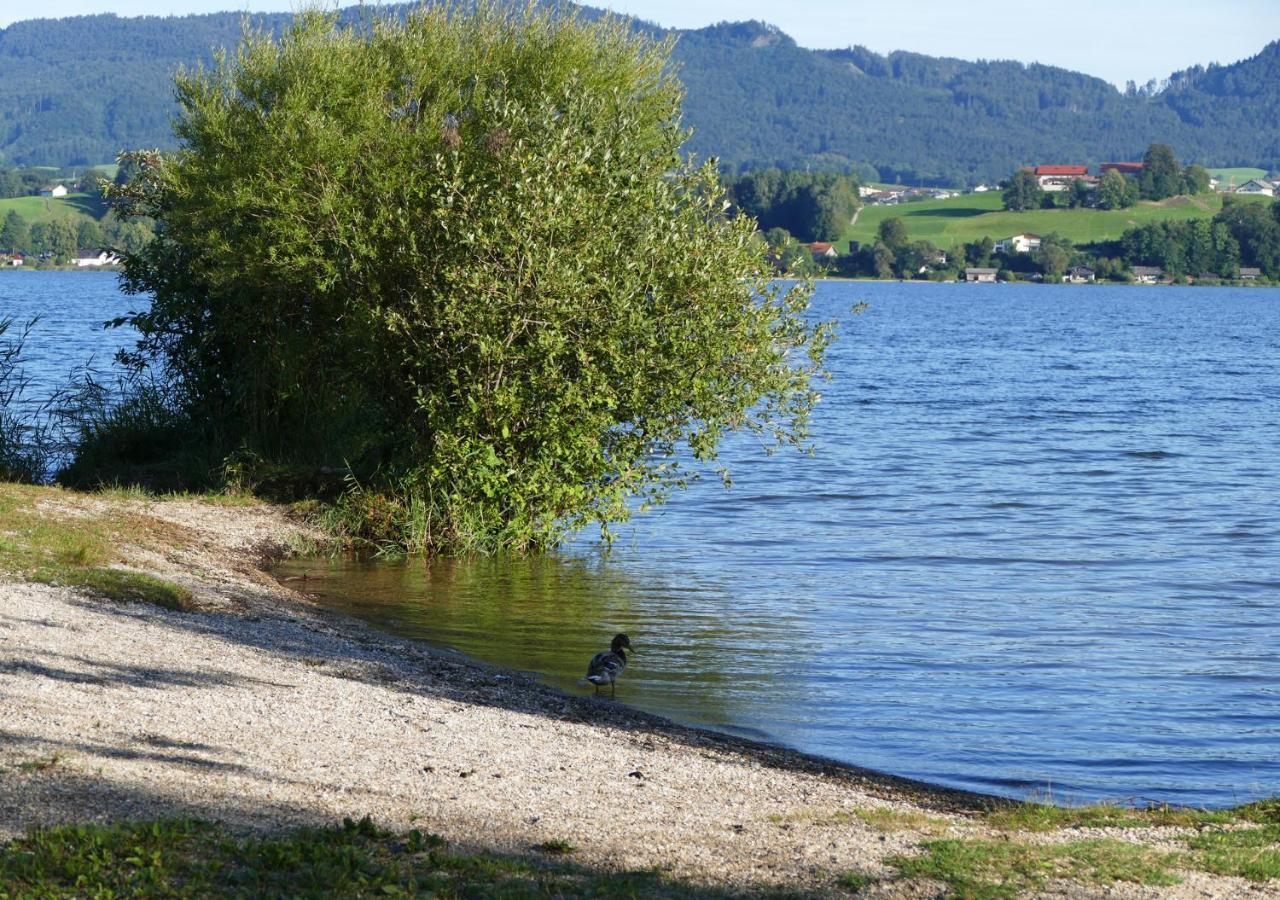 Refugio Del Lago Seekirchen am Wallersee Dış mekan fotoğraf