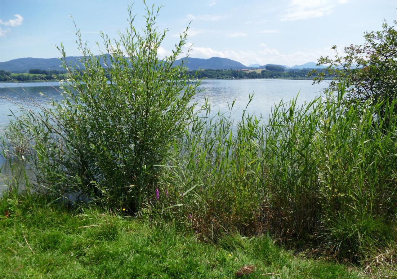 Refugio Del Lago Seekirchen am Wallersee Dış mekan fotoğraf