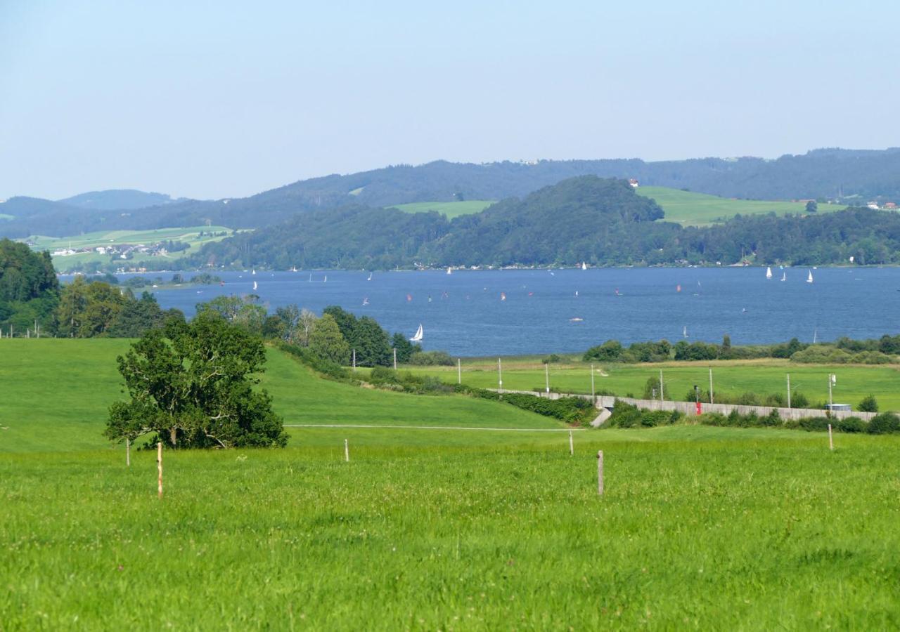 Refugio Del Lago Seekirchen am Wallersee Dış mekan fotoğraf