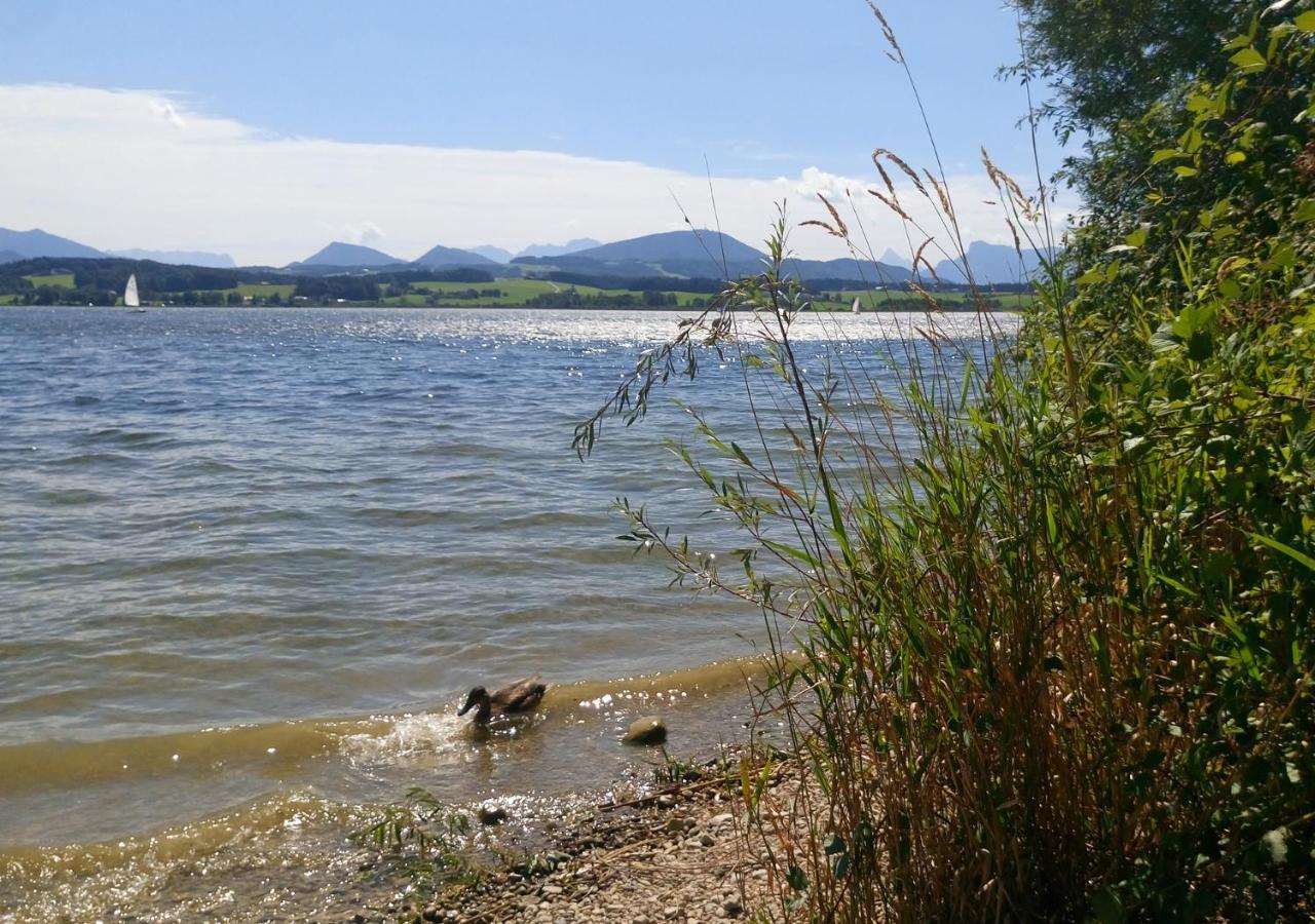 Refugio Del Lago Seekirchen am Wallersee Dış mekan fotoğraf